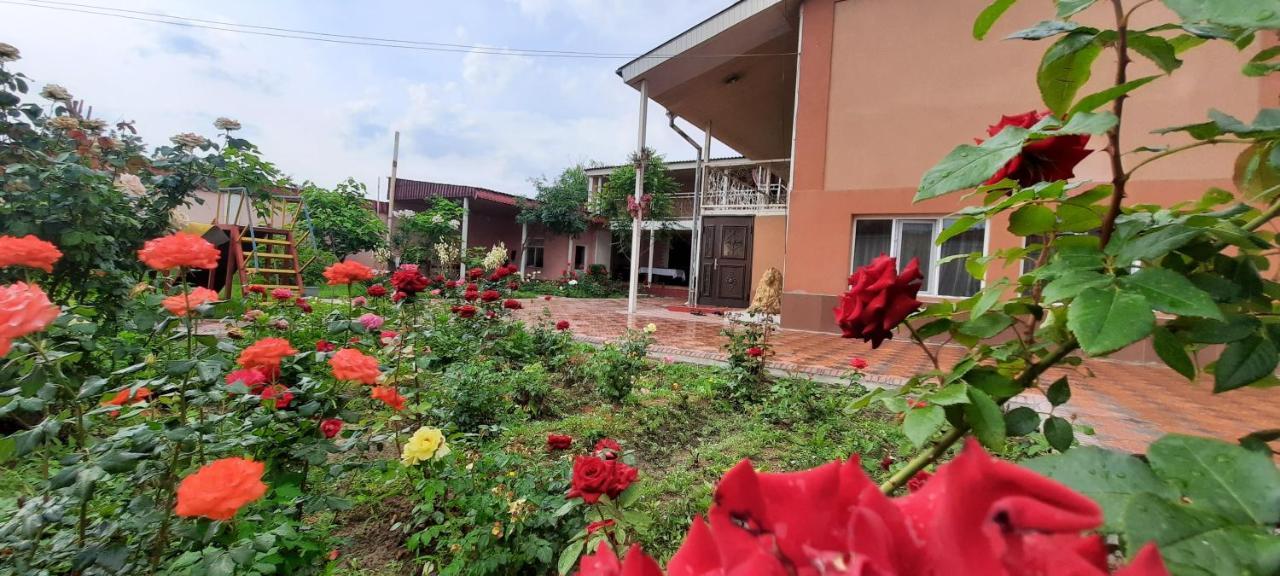 Vip Hostel Turkistan Ngoại thất bức ảnh
